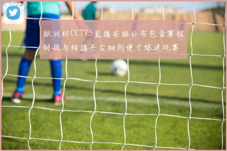 欧洲杯CCTV5直播安排公布包含赛程时段与转播平台细则便于球迷观赛