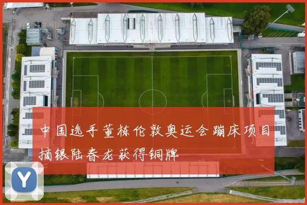 中国选手董栋伦敦奥运会蹦床项目摘银陆春龙获得铜牌
