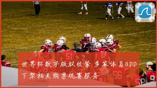 世界杯数字版权收紧 多家体育app下架相关购票观赛服务